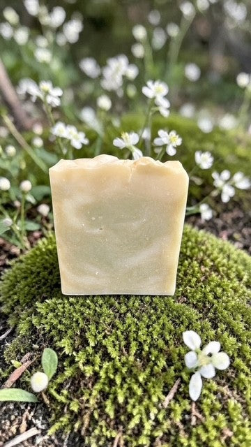 Coconut Lime Soap Bar — Final Stock